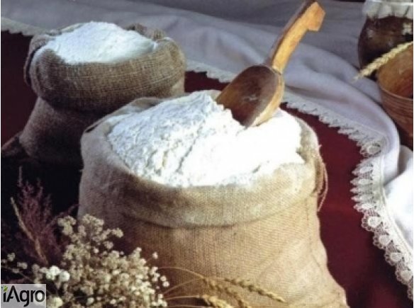  Ukraina. Maka zytnia pszenna 850 zl/tona. Otreby, material paszowy. Zaklady zbozowe, maka pakowana ekonomiczne worki 50kg dostosowane do transportu paletowego, odbioru indywidualnego. Luksusowa, bulkowa T500 pszenice najwyzszej jakosci. Znakomita linie c