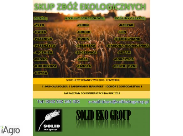 SKUP ZBÓŻ EKOLOGICZNYCH