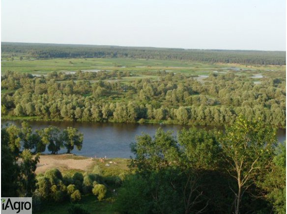  Ukraina. Sprzedam stawy rybne z ekologiczna hodowla karpia krolewskiego, grunty rolne przy lesie nad rzeczka, dzialki budowlane i pod inwestycje. Cena 4 tys.zl/hektar. Pieknie polozone w srodku lasu zbior wyrobisk i stawow z mozliwoscia wedkowania. Nieru