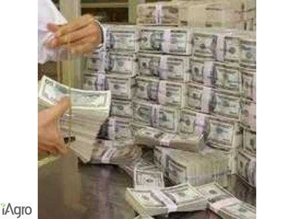 Oryginalne pieniądze oferowane tutaj przy 2% stopie procentowej