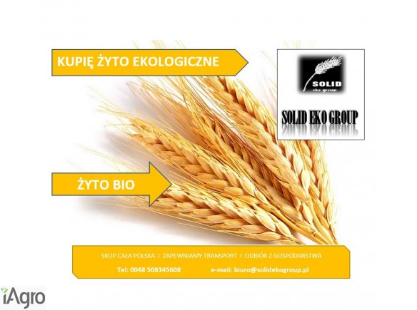 Kupię żyto ekologiczne