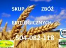 Kupię zboża ekologiczne i konwencjonalne - zdjęcie 1