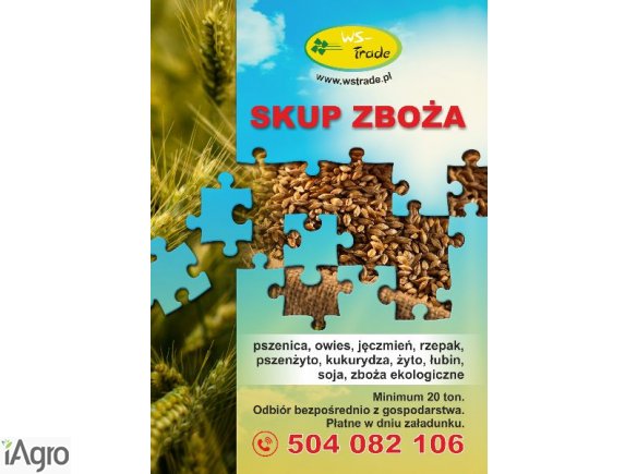 Kupię łubin - skup łubinu