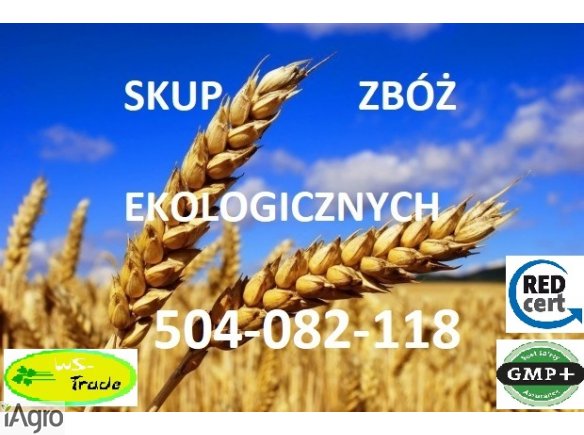 Kupię zboża ekologiczne 