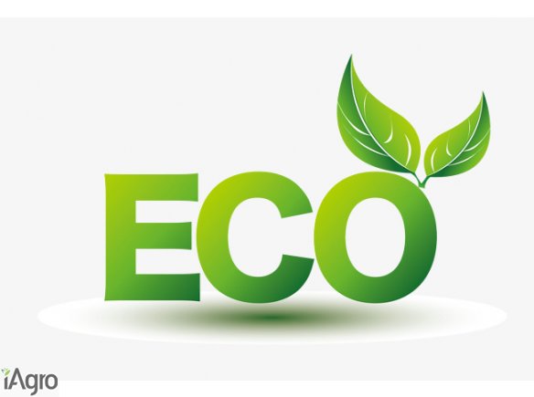 Kupię zboża ekologiczne