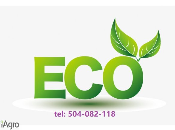 Kupię zboża ekologiczne i konwencjonalne