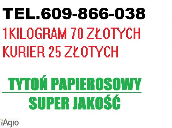 TYTON TYTOŃ PAPIEROSOWY TANI TYTON SPRZEDAŻ SPRZEDAJEMY TYTOŃ 