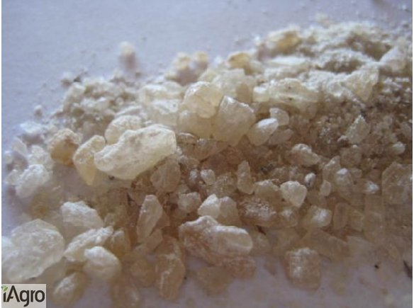 JWH-210  JWH-, 122  JWH-203  5-IAI  4-ACO-DMT