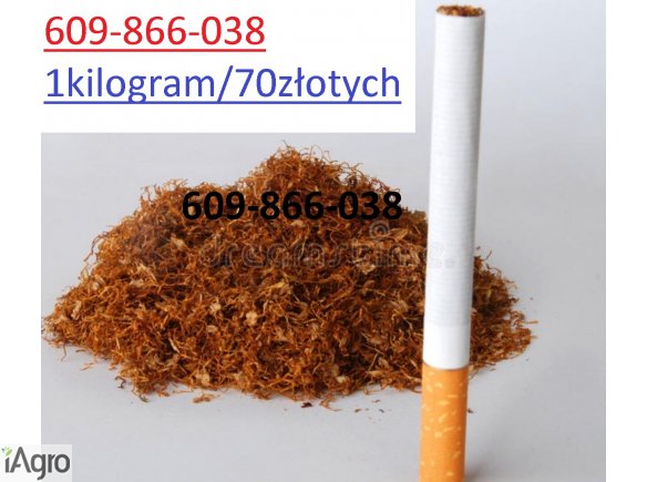 TYTON PAPIEROSOWY 609866038