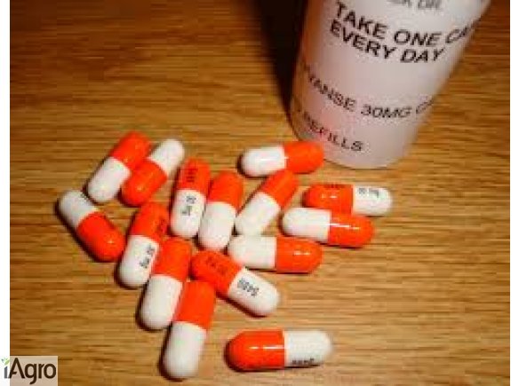 PAINKILLER PILLS AVAILABLE ONLINE CONTACT US TEXT/WHATSAPP AT +1(414)8565395