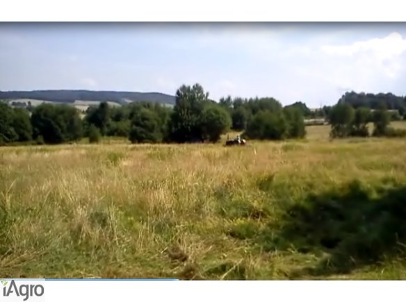 Dzierżawa gruntu rolnego