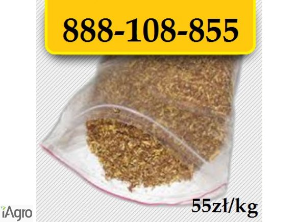 Tytoń papierosowy 55zl/kg Wysyłka 24H! Pewny tytoń prosto z hurtowni! 