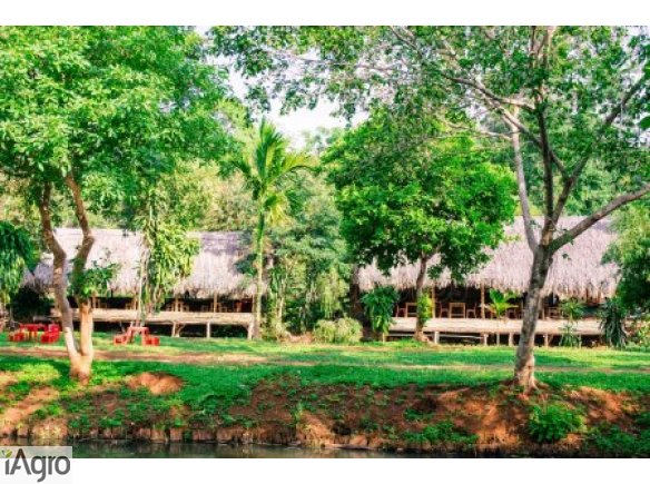  Ukraina. Piekne tereny zielone 2 tys.zl/hektar. Domki letniskowe nad rzeka, jeziorem. Duzy wybor dzialek rolnych w dzierzawe 200 zl/ha rocznie. Nieruchomosci lesne, stawy rybne, torfowiska w poblizu laka, strumien zrodlanej wody Selezniowskej. Stare drew