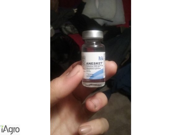    Top Pure Quality Anesket 1000mg/10ml For Sale 
