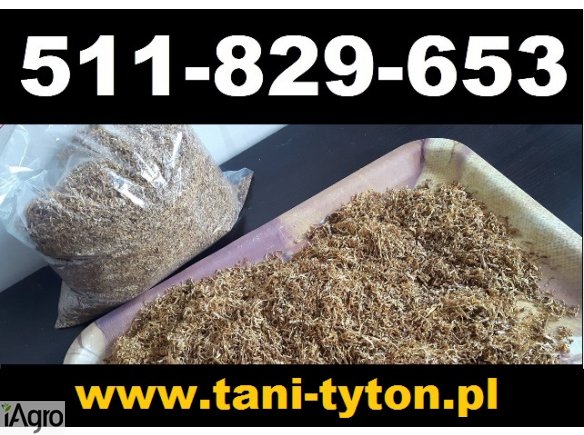 Ekstra promocja! Tytoń jak ze sklepu w cenie 65 zł za kilogram! 