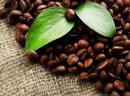 Najlepsze Palone ziarna kawy Robusta