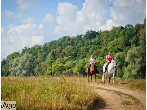  Ukraina. Sloma zytnia, owsiana, rzepakowa, lniana. Siano, surowcy produkcji rolniczej. Od 70 zl/tona. Grunty rolne, biomasa, czyste paliwa. Czernihowski obw. Surowcy bedace pozostaloscia produkcji rolniczej z powiekszenia uzytkow gospodarstw rolnych. Zbo