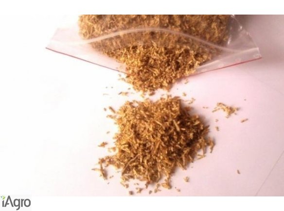 Tytoń hurt jasny ciemny mieszany