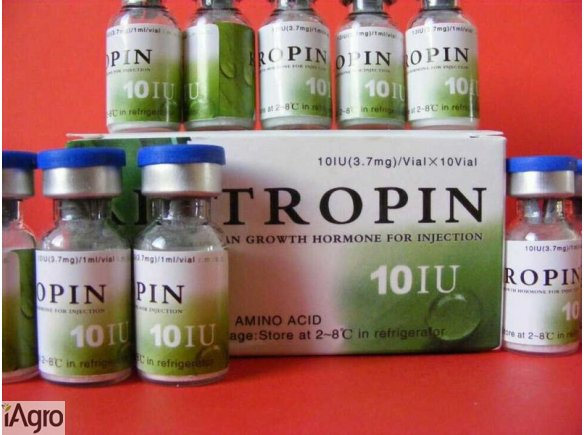 Kigtropin HGH Human Growth Hormone, Somatropin na sprzedaż