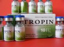 Kigtropin HGH Human Growth Hormone, Somatropin na sprzedaż