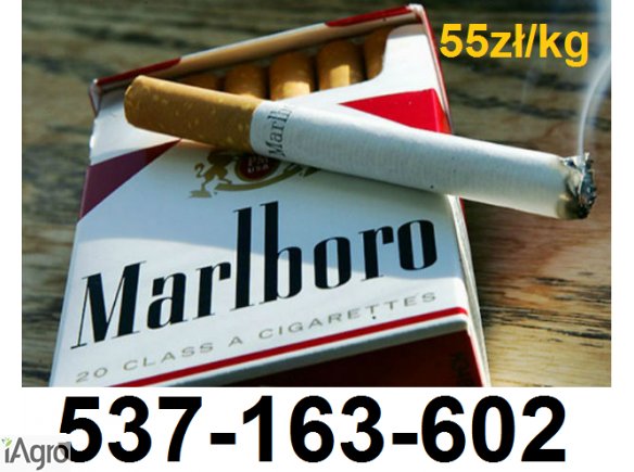 Tani tytoń 55zł/kg Gratisy dla stałych klientów!