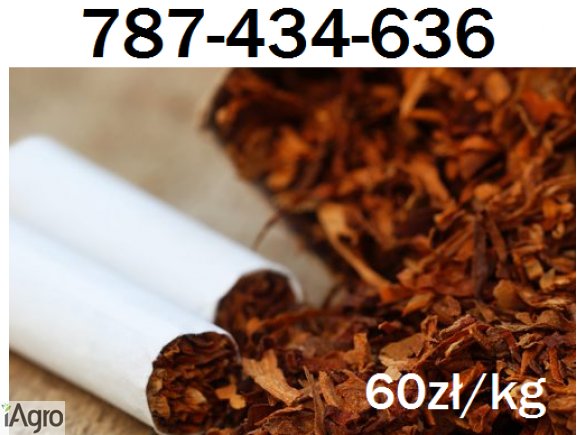 Tytoń papierosowy  60 zł 1 Kg! Sklepowej jakości wysyłka w 24H!