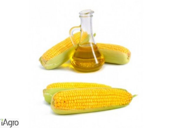 Olej kukurdziany nierafinowany [UKRAINA] (olej rzepakowy, olej słonecznikowy)