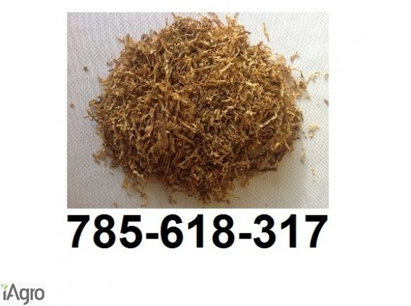 Tytoń papierosowy  65 zł 1 Kg! Sklepowej jakości wysyłka w 24H!