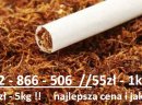 Sprzedam / Super Cena / Super Jakość / Tytoń / 50 zł /kg 