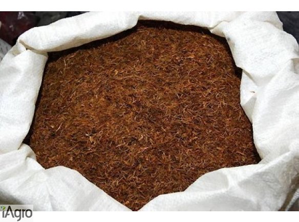 IDEALNY TYTOŃ! 70 ZŁ