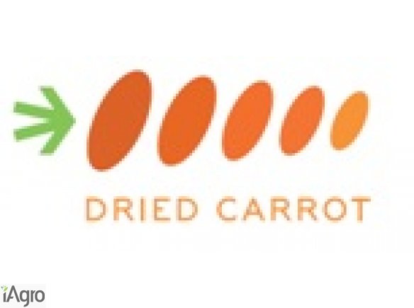 Całoroczny skup ziemniaka II kategorii,odsortu, odpadu