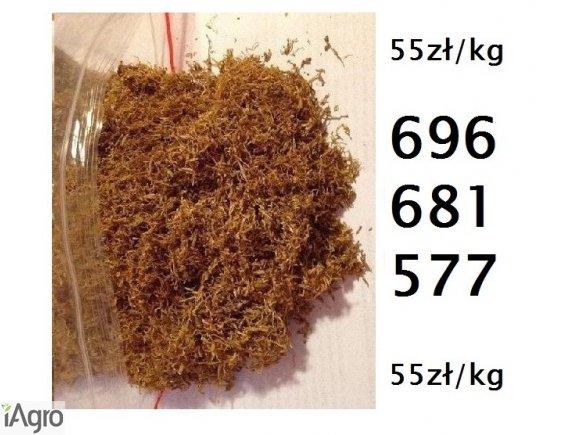  Tytoń bezkonkurencyjny na rynku tabaka 55zł/kg