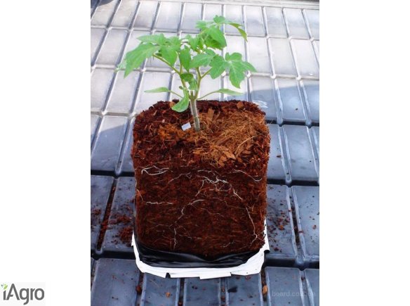  Ukraina. Oferujemy w dzierzawe zrodla, zloza, torfowiska, laki, stawy. Torf ogrodniczy Sapropel 40 zl/tona rozdrobniony, kompostowany na potrzeby pieczarkarnie, upraw roslin, warzyw. Humus odkwaszony pH5,5~6,5 mul denny organiczny, substraty wyprodukowan