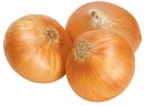 I will sell fresh onions white /red/yellow (whatsapp :+4565744605)
