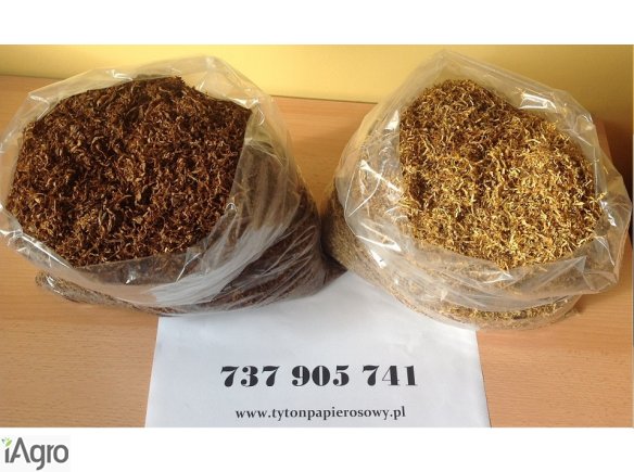 Pozbąd się Problemu Kołków I Śmieci - Czysty Tytoń Za Nieprzyzwoicie Niską Cenę.