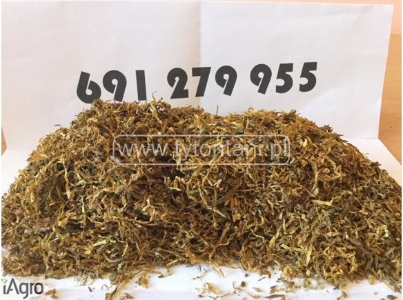 Czysty Tytoń w Dobrej Cenie 65 ZŁ/KG Tani Tyton Oficjalny Sklep