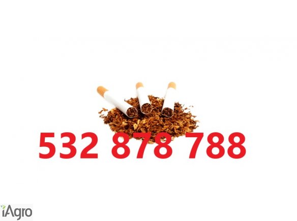 Tytoń - cała Polska - 70 zł / 1kg   dla stałych klientów  gratisy!    