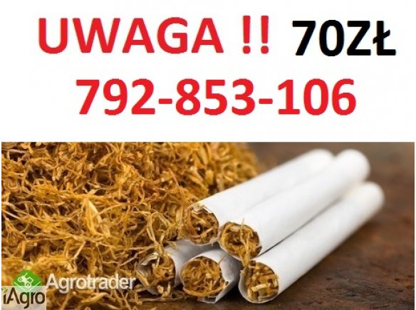 Super tytoń wszystkie rodzaje ld,marlboro,korsarz 539-597-498