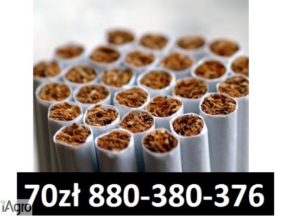 Super tytoń wszystkie rodzaje ld,marlboro, korsarz ondraszek i inne 70zł  880-380-376