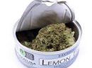 Space Monkey Meds for sale,buy medical marijuana, Cali Tins Weed online at http://darkmarkete.com/ - zdjęcie 3