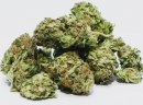 Space Monkey Meds for sale,buy medical marijuana, Cali Tins Weed online at http://darkmarkete.com/ - zdjęcie 5