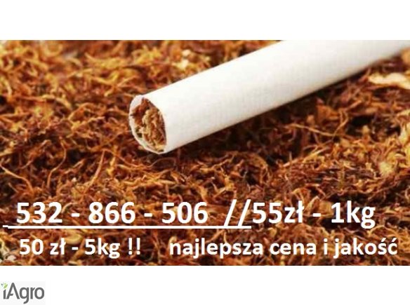 Sprzedam / Najwyższej Klasy Tytoń papierosowy/ Szybka Dostawa/ 50zł / kg 