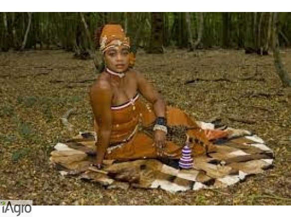 Traditional healer / Lost love spell caster in Eastern Cape +27631765353 Free State Gauteng KwaZulu-Natal Limpopo Mpumalanga Northern Cape Western Cape