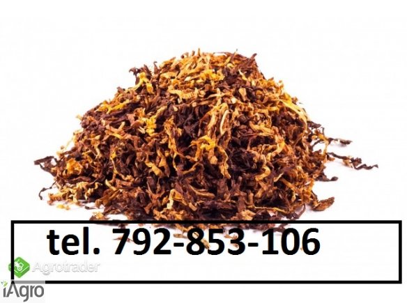 Super tytoń wszystkie rodzaje ld,marlboro, korsarz ondraszek i inne 70zł 792853106