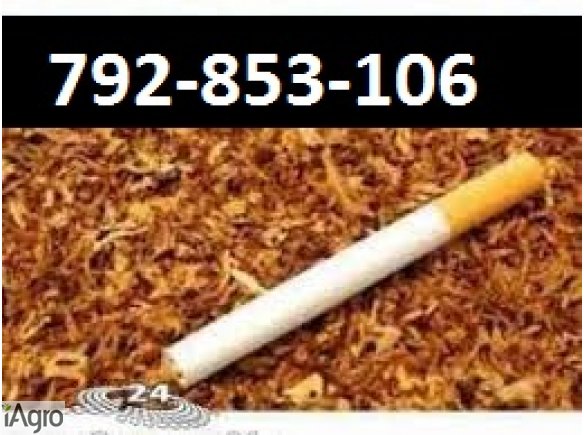 Super tytoń wszystkie rodzaje ld,marlboro, korsarz ondraszek i inne 70zł 792853106