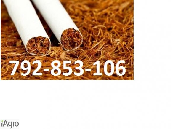 Super tytoń wszystkie rodzaje ld,marlboro, korsarz ondraszek i inne 70zł 792853106