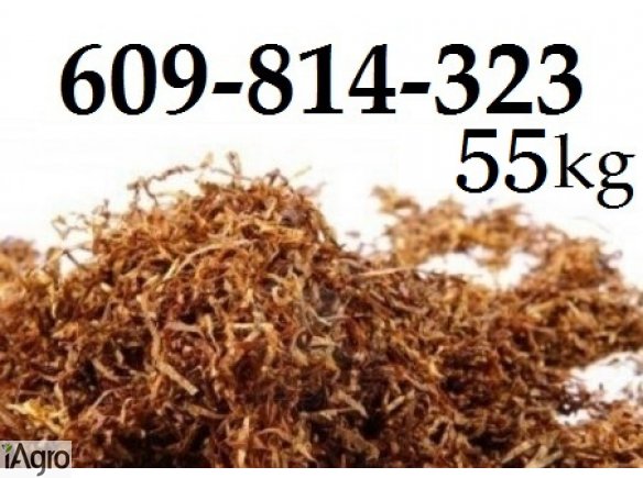 Tytoń papierosowy gotowy do palenia 55zł/kg