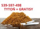 Super tytoń wszystkie rodzaje ld,marlboro,korsarz 539-597-498