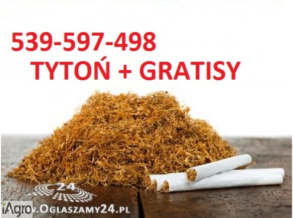 Super tytoń wszystkie rodzaje ld,marlboro,korsarz 539-597-498