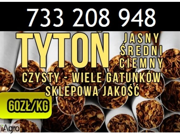 Tytoń papierosowy  60 zł 1 Kg! Sklepowej jakości wysyłka w 24H!